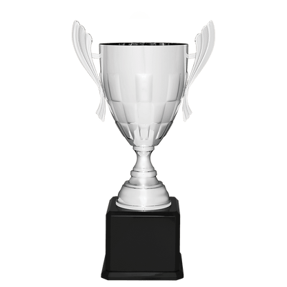 Silver Completed Metal Cup Trophy on Black Royal 24 3/4" Piano Finish Base