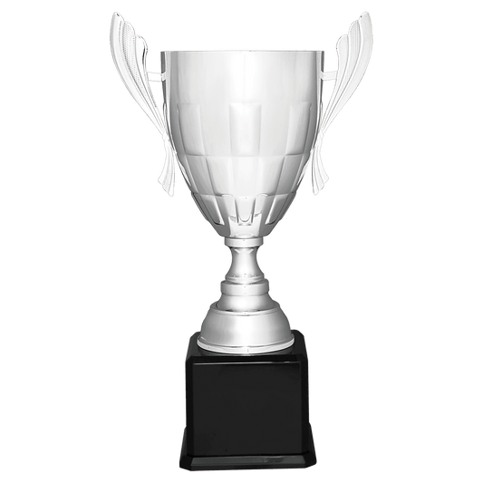 Silver Completed Metal Cup Trophy on Black Royal 26 1/2" Piano Finish Base