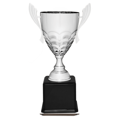 Silver Completed Metal Cup Trophy on Black Royal 23 1/2" Piano Finish Base