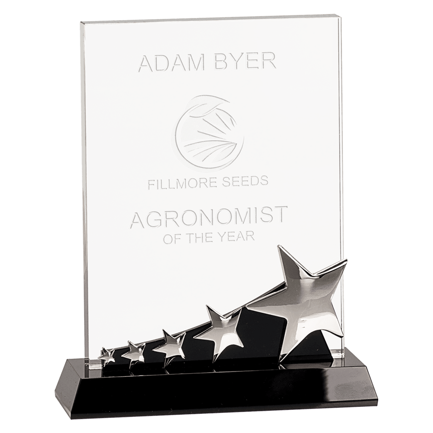 8" Rectangle Crystal with Silver Stars on Black Pedestal Base