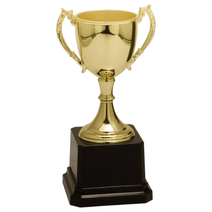 Gold 6 3/4" Completed Zinc Cup Trophy