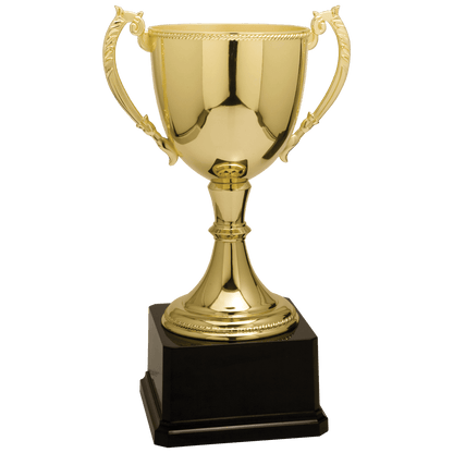 Gold 11" Completed Zinc Cup Trophy
