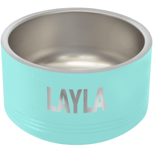 Teal 18 oz. Pet Bowl