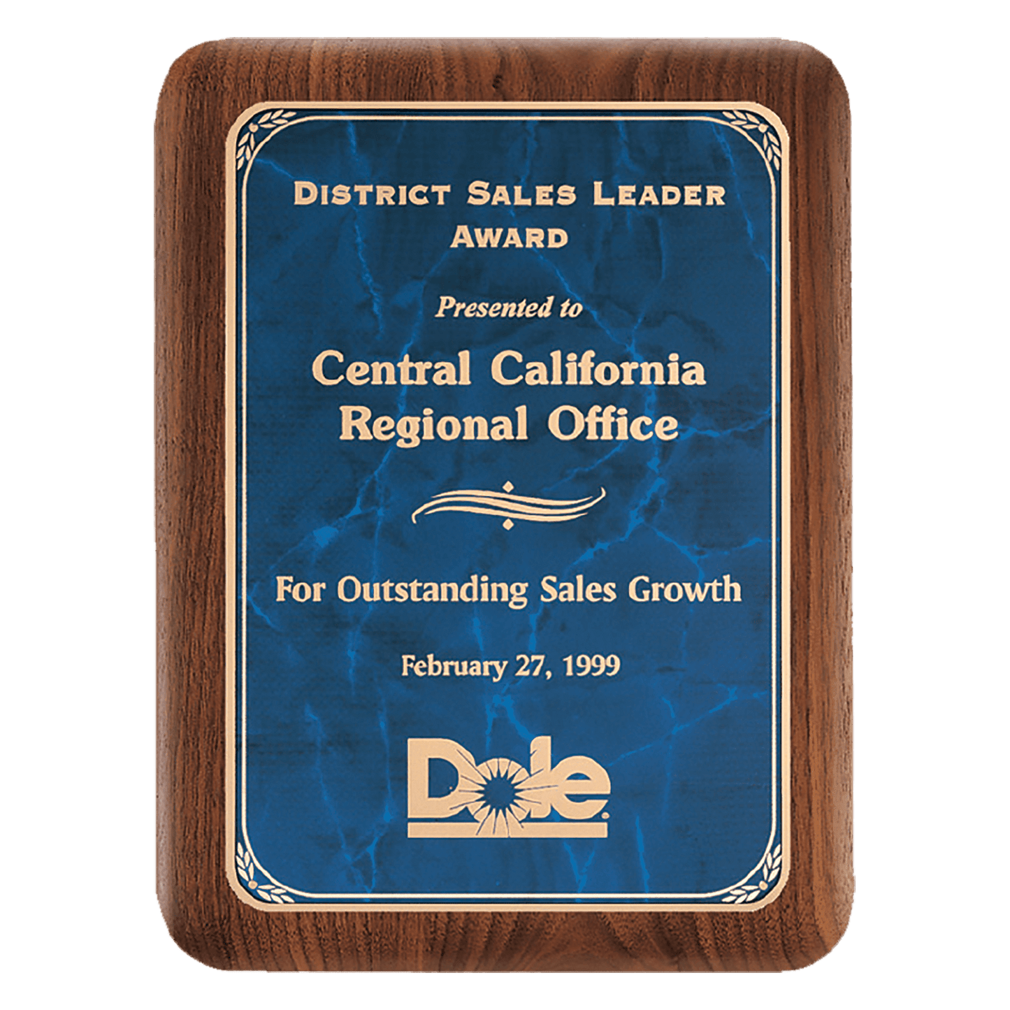 Walnut Plaque with Gold 9" x 12" American Border Sapphire Marble LaserFX Plate