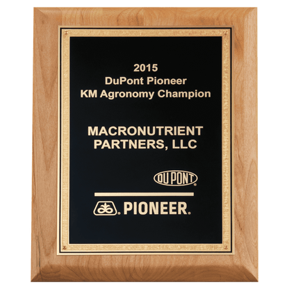 Alder Wood Plaque with Black Textured, Gold 9" x 12" Natural Florentine Bordered LaserFX Plate